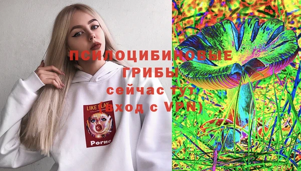 винт Покров