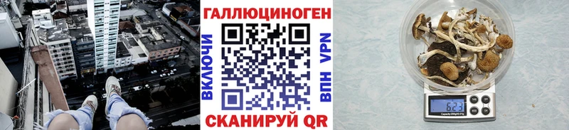 цена наркотик  Ардон  Псилоцибиновые грибы MAGIC MUSHROOMS 